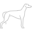 greyhound